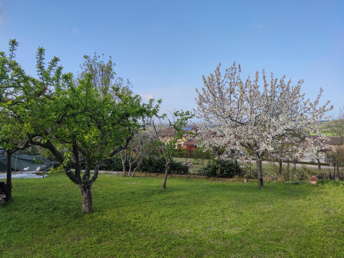 Appartement Relax In Collina A Due Passi Dal Mare à Torriana Extérieur photo